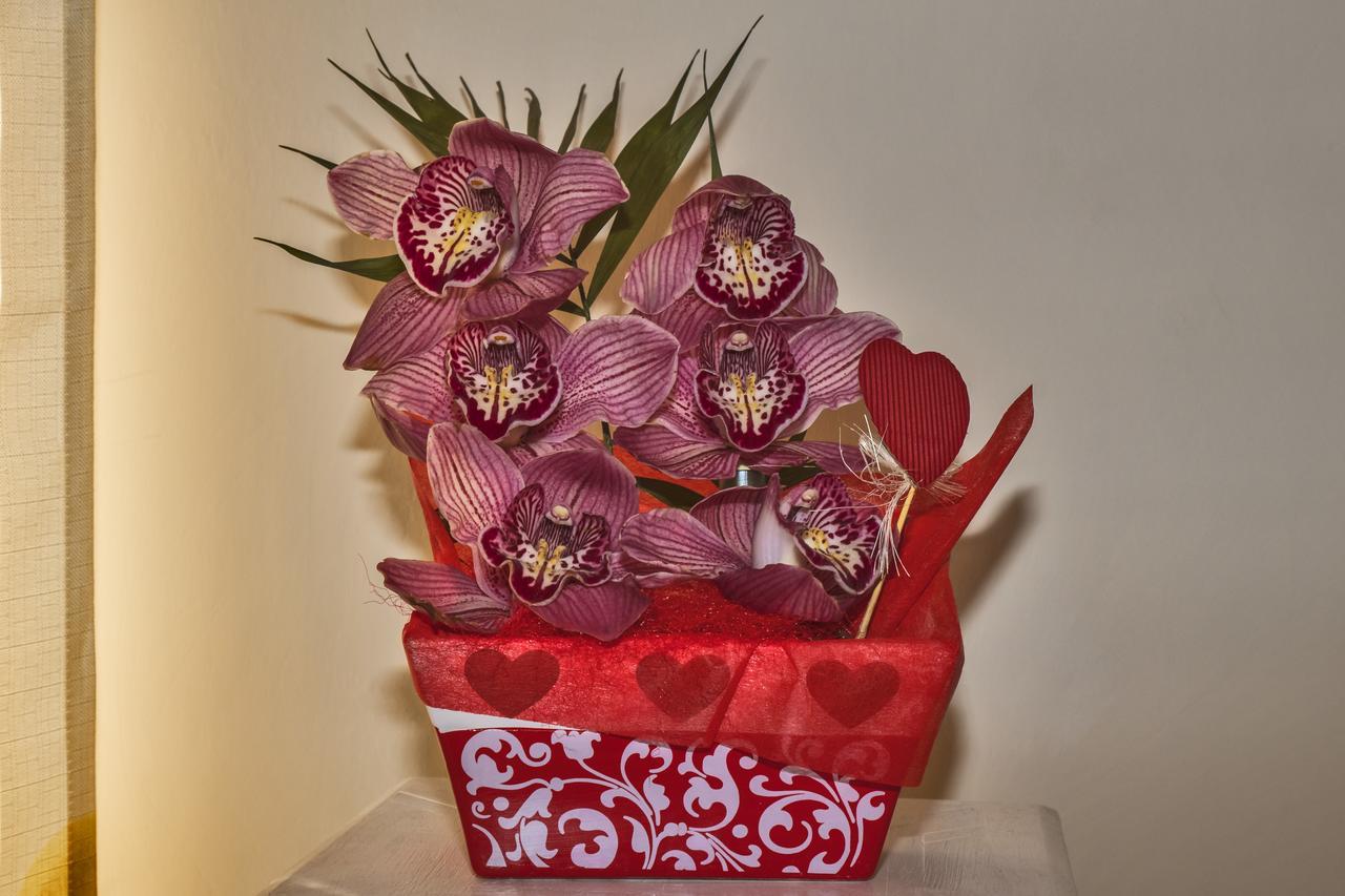 L'Orchidea Di Ale Bed & Breakfast Tivoli Terme Exterior photo
